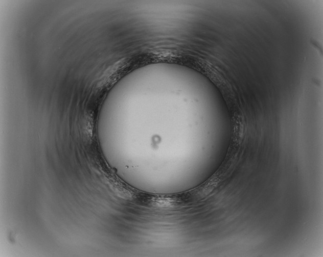 X0000102220710200808081317