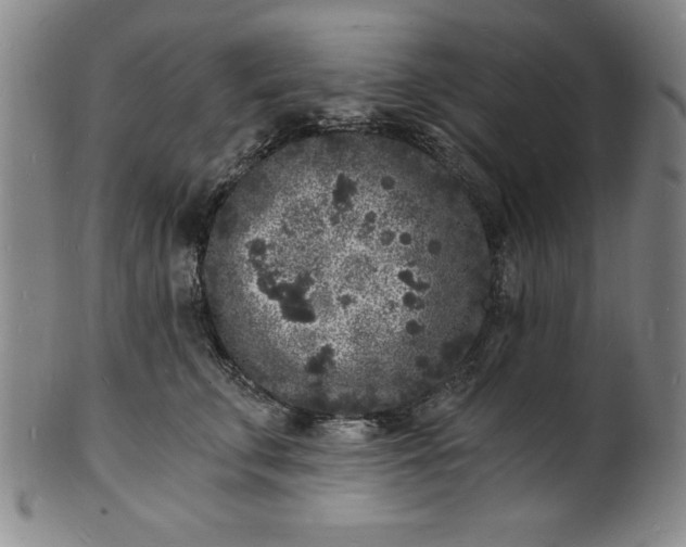 X0000102220711200808081317