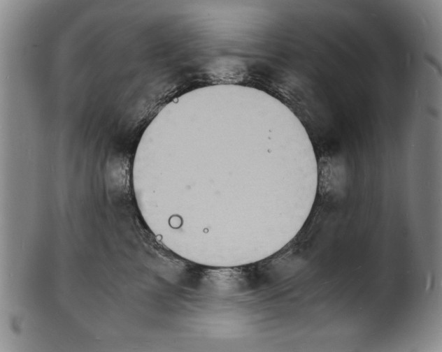 X0000102220713200808081317