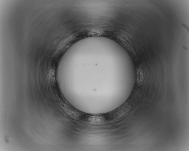 X0000102220714200808081317