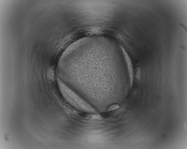 X0000102220715200808081317