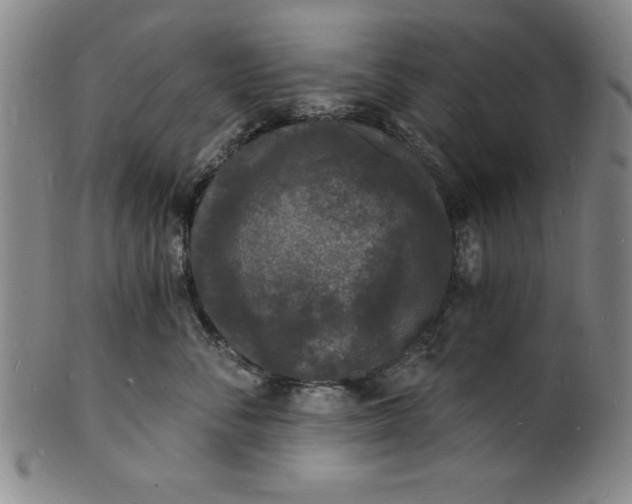 X0000102220716200808081316