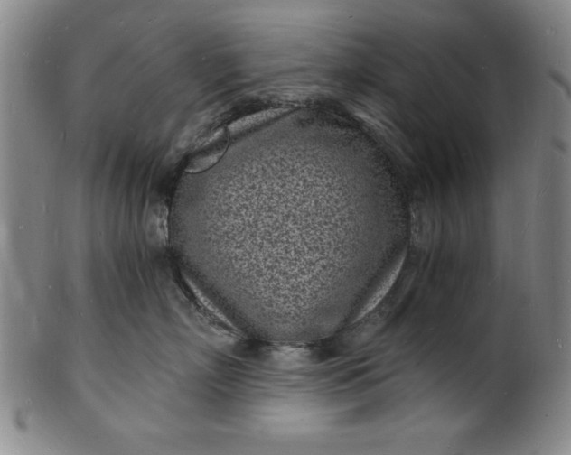 X0000102220718200808081316