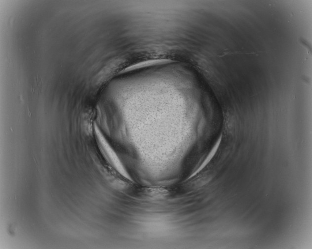 X0000102220719200808081316