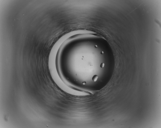 X0000102220720200808081316