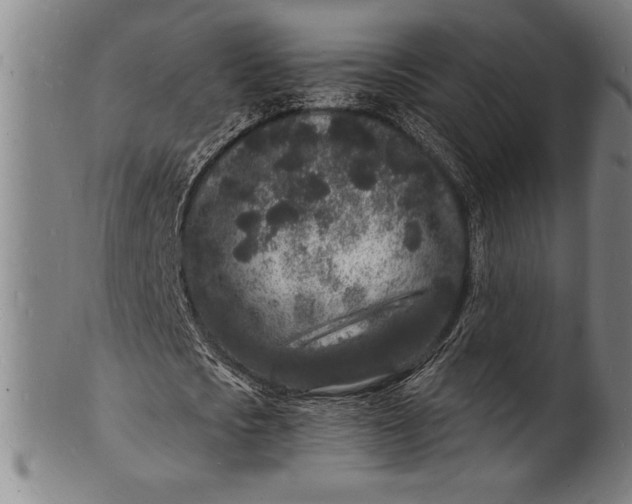 X0000102220721200808081316