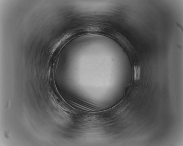 X0000102220723200808081316