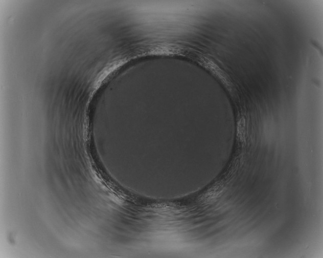 X0000102220724200808081316