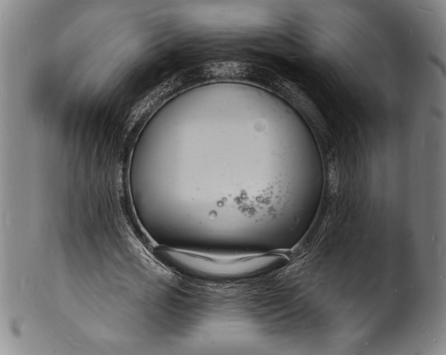 X0000102220725200808081316