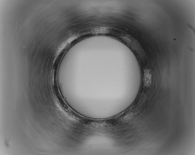 X0000102220726200808081316