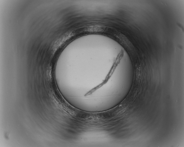 X0000102220727200808081316