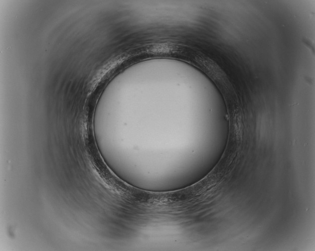 X0000102220728200808081316