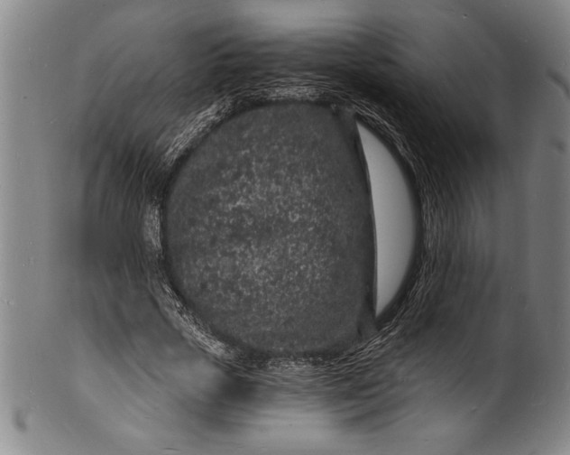 X0000102220729200808081316