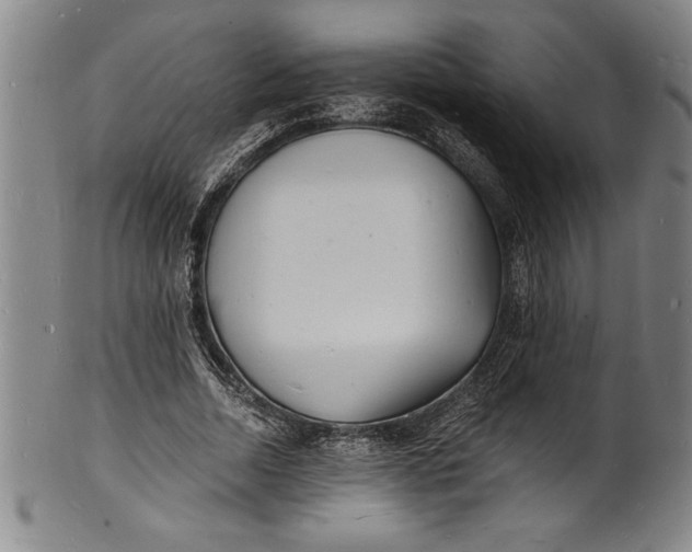 X0000102220730200808081316