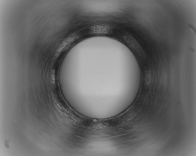 X0000102220731200808081316