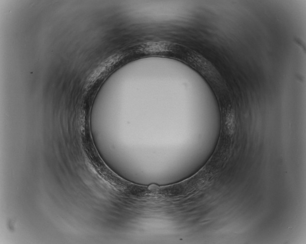 X0000102220732200808081316