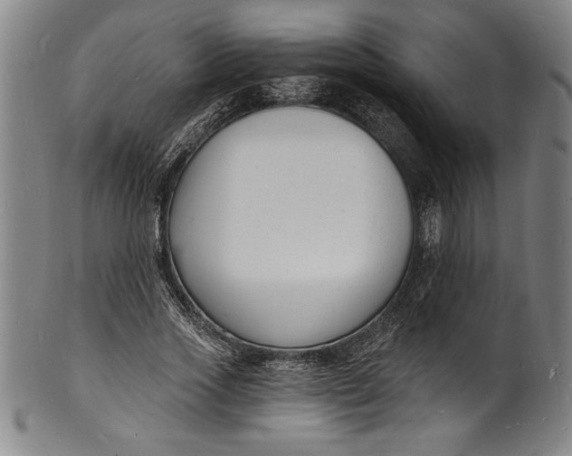 X0000102220733200808081316