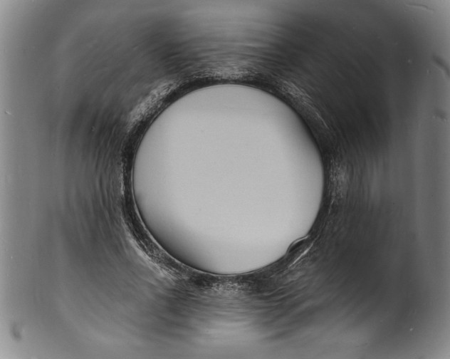 X0000102220734200808081316