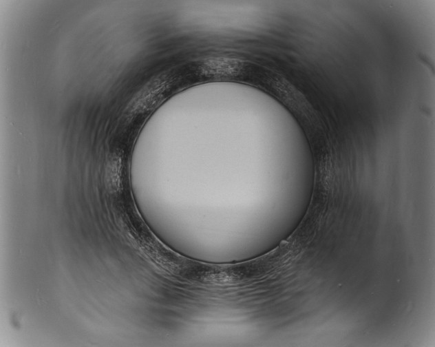 X0000102220735200808081316