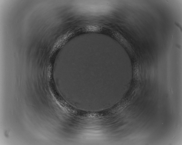 X0000102220736200808081316