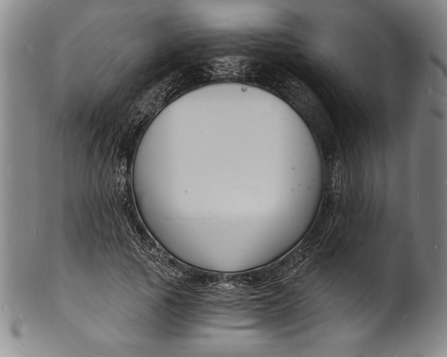 X0000102220737200808081316