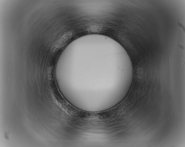 X0000102220738200808081316