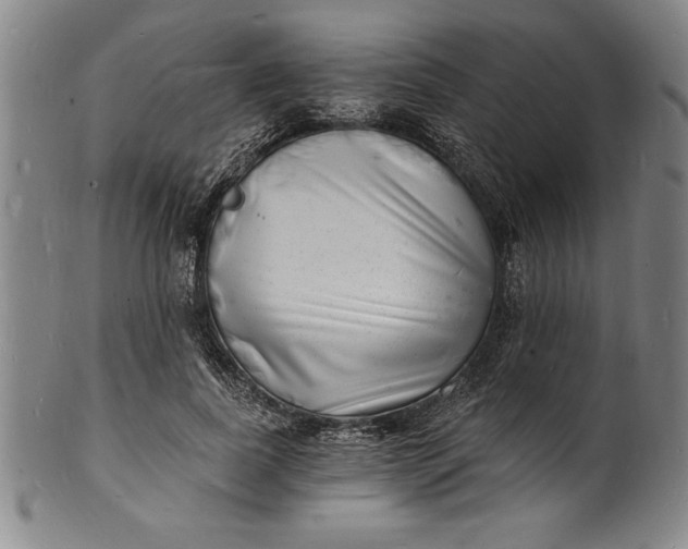 X0000102220739200808081316