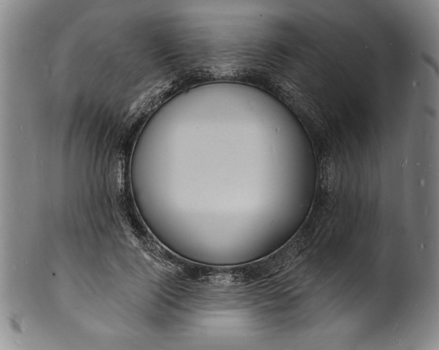 X0000102220740200808081316