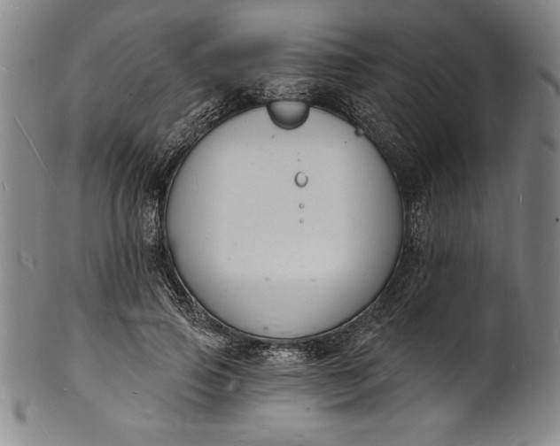 X0000102220741200808081316