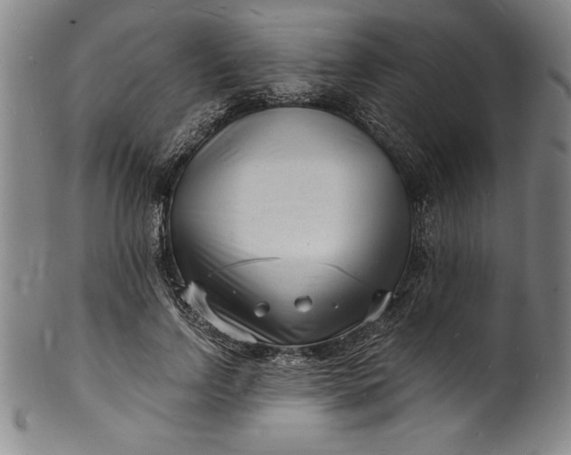 X0000102220742200808081316