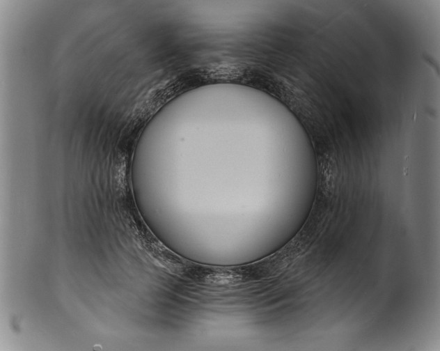 X0000102220745200808081316