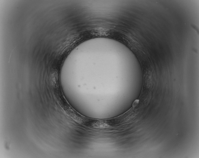 X0000102220747200808081316