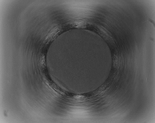 X0000102220748200808081316