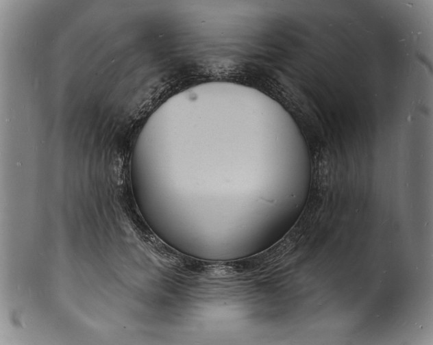 X0000102220750200808081316