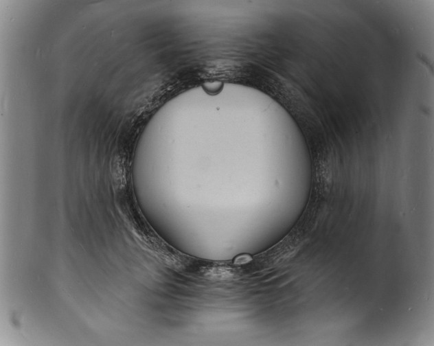 X0000102220751200808081316