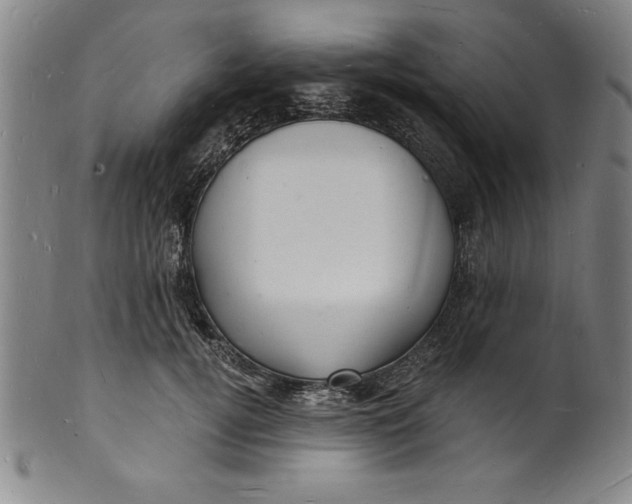 X0000102220752200808081316