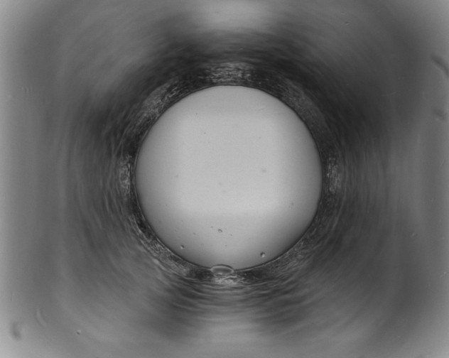 X0000102220753200808081316