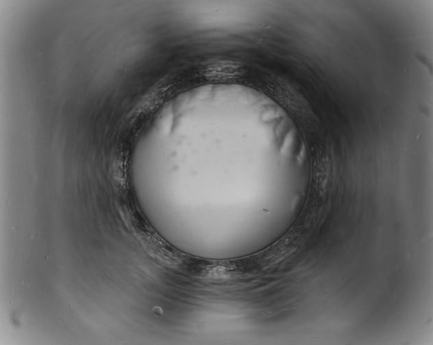 X0000102220755200808081316