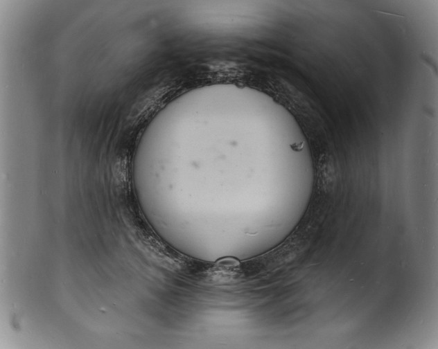 X0000102220756200808081316