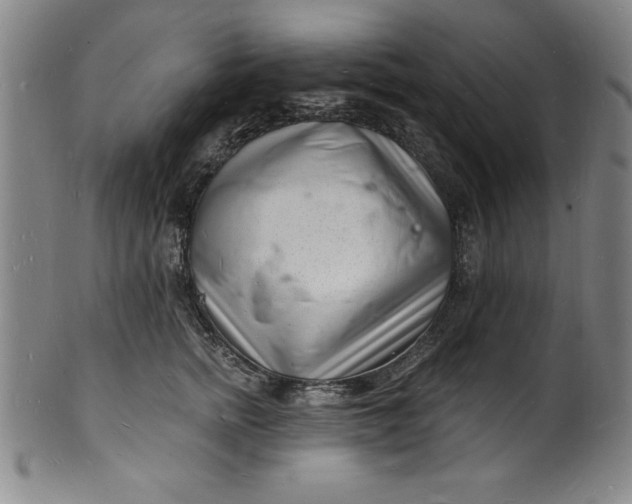 X0000102220758200808081316