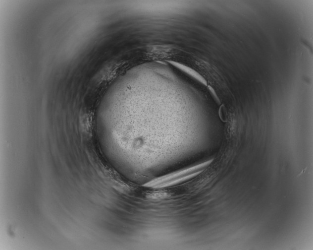 X0000102220759200808081316