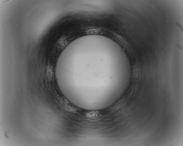 X0000102220761200808081316