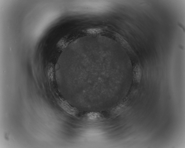 X0000102220762200808081316