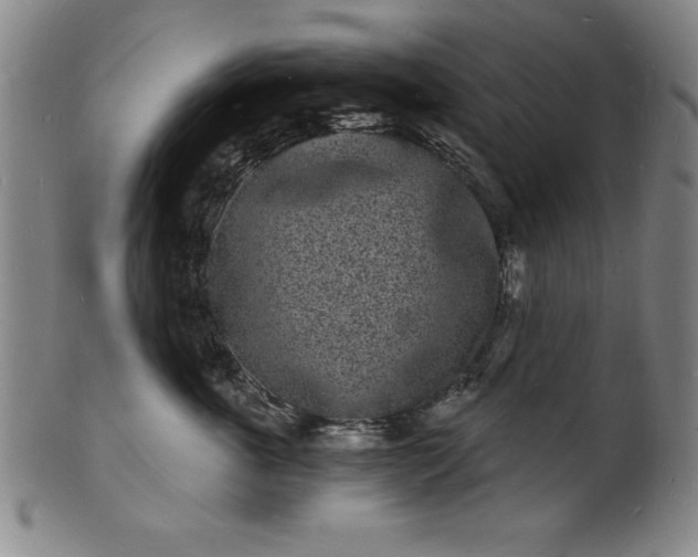 X0000102220763200808081316