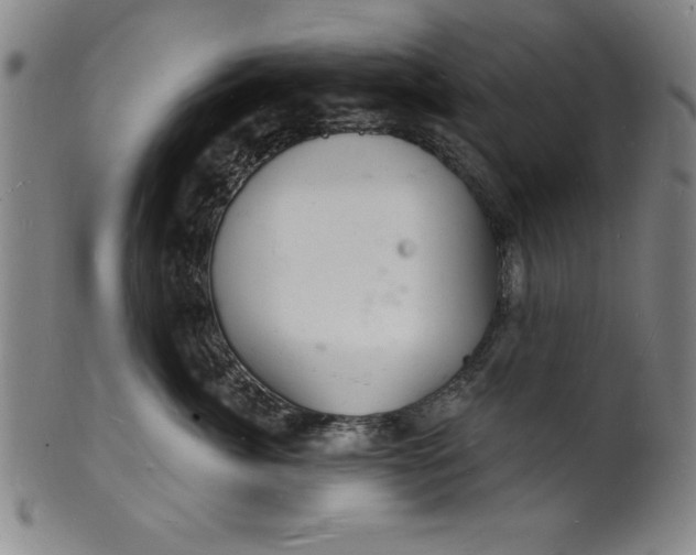 X0000102220764200808081316