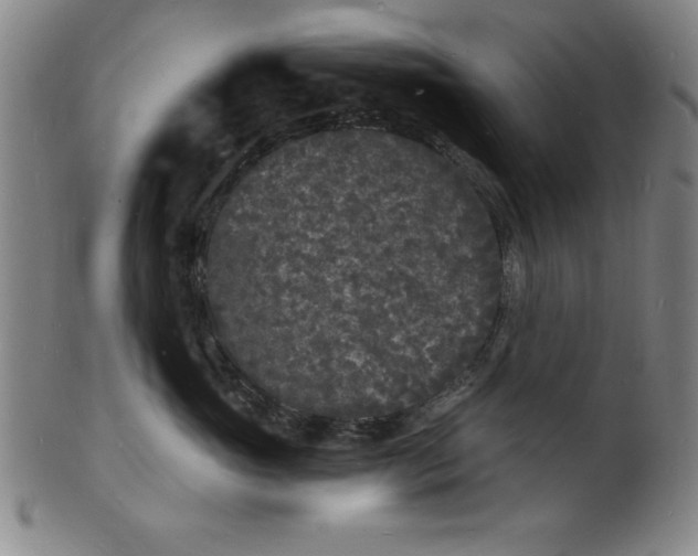 X0000102220765200808081316