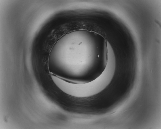 X0000102220766200808081316