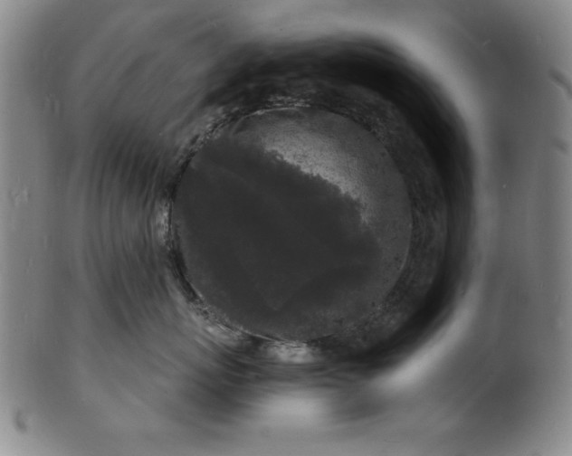 X0000102220767200808081316