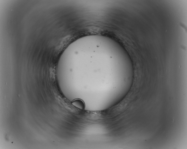 X0000102220768200808081316