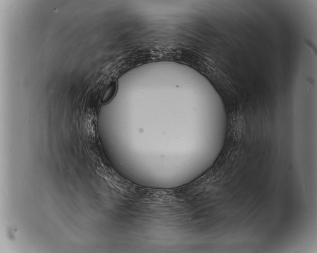 X0000102220770200808081316